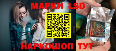 мяу мяу мука Краснознаменск
