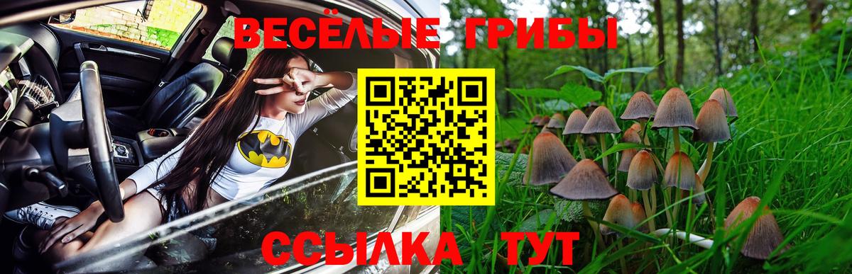 Киселёвск  Галлюциногенные грибы ЛСД  Вход с VPN 