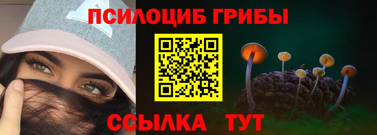 Галлюциногенные грибы прущие грибы Киселёвск